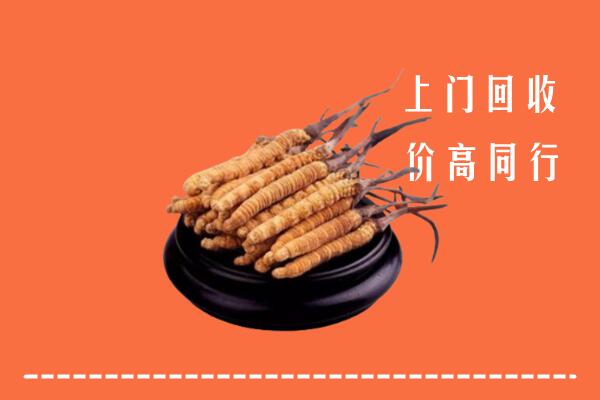 高价求购：遂宁回收散虫草