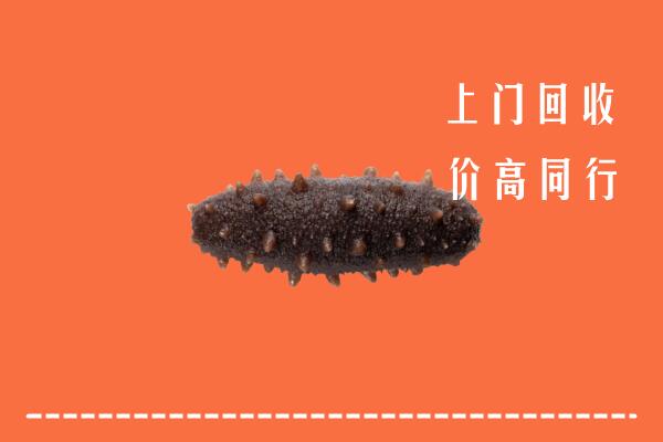 遂宁回收海参